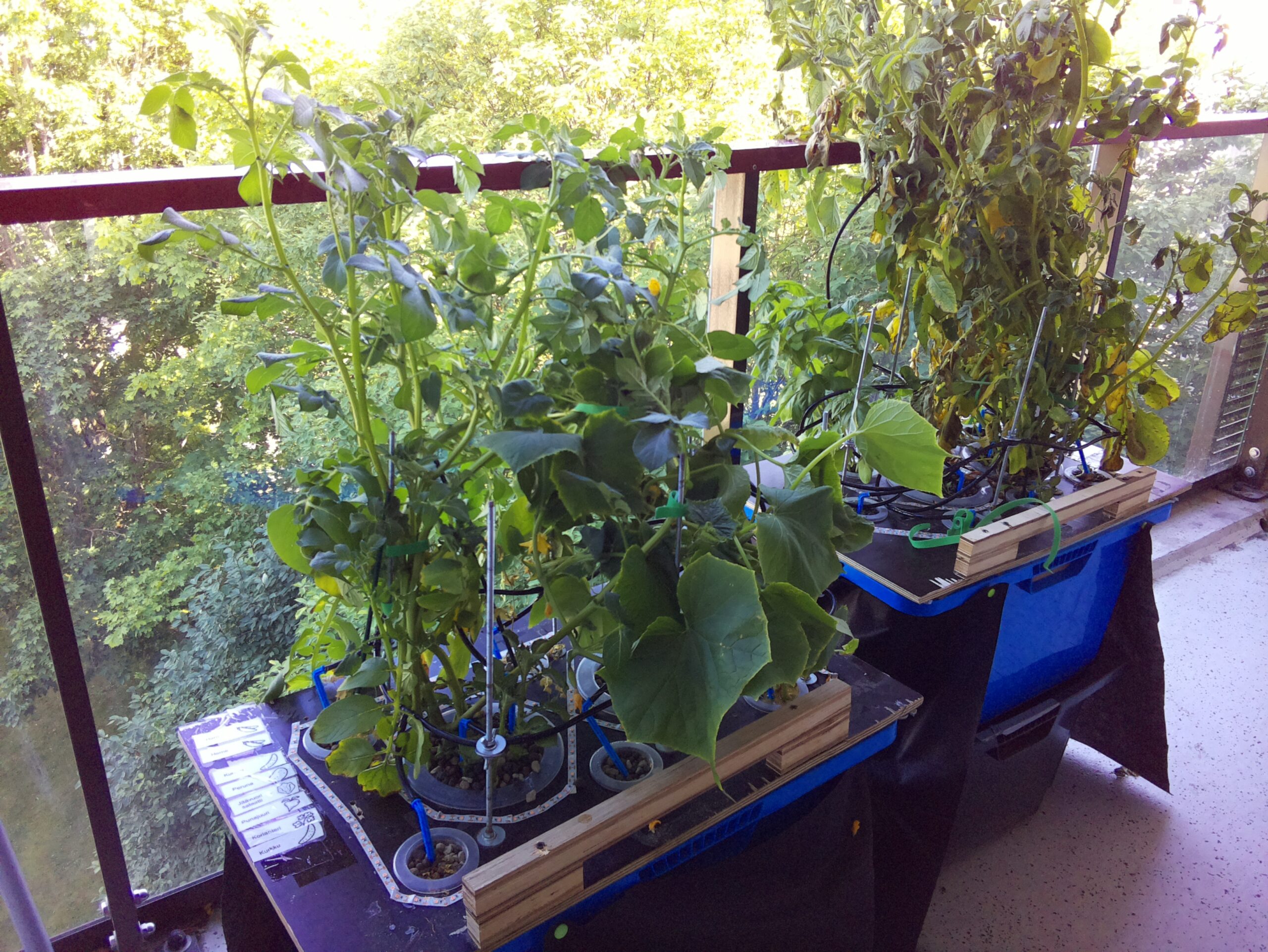 ilta SISÄPIHA 2026-07-15: 18:05:02