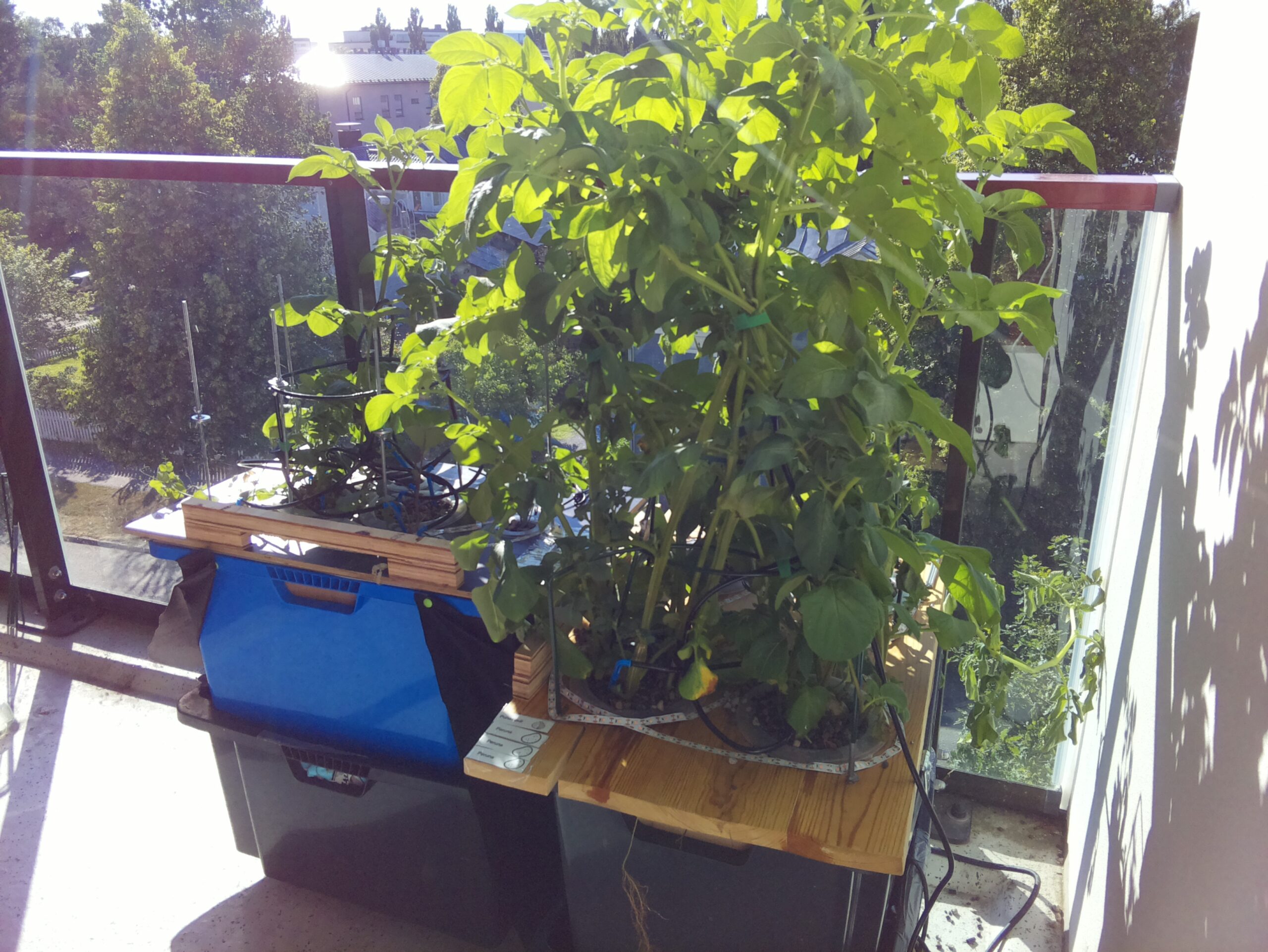 ilta KATU 2026-07-16: 18:05:02