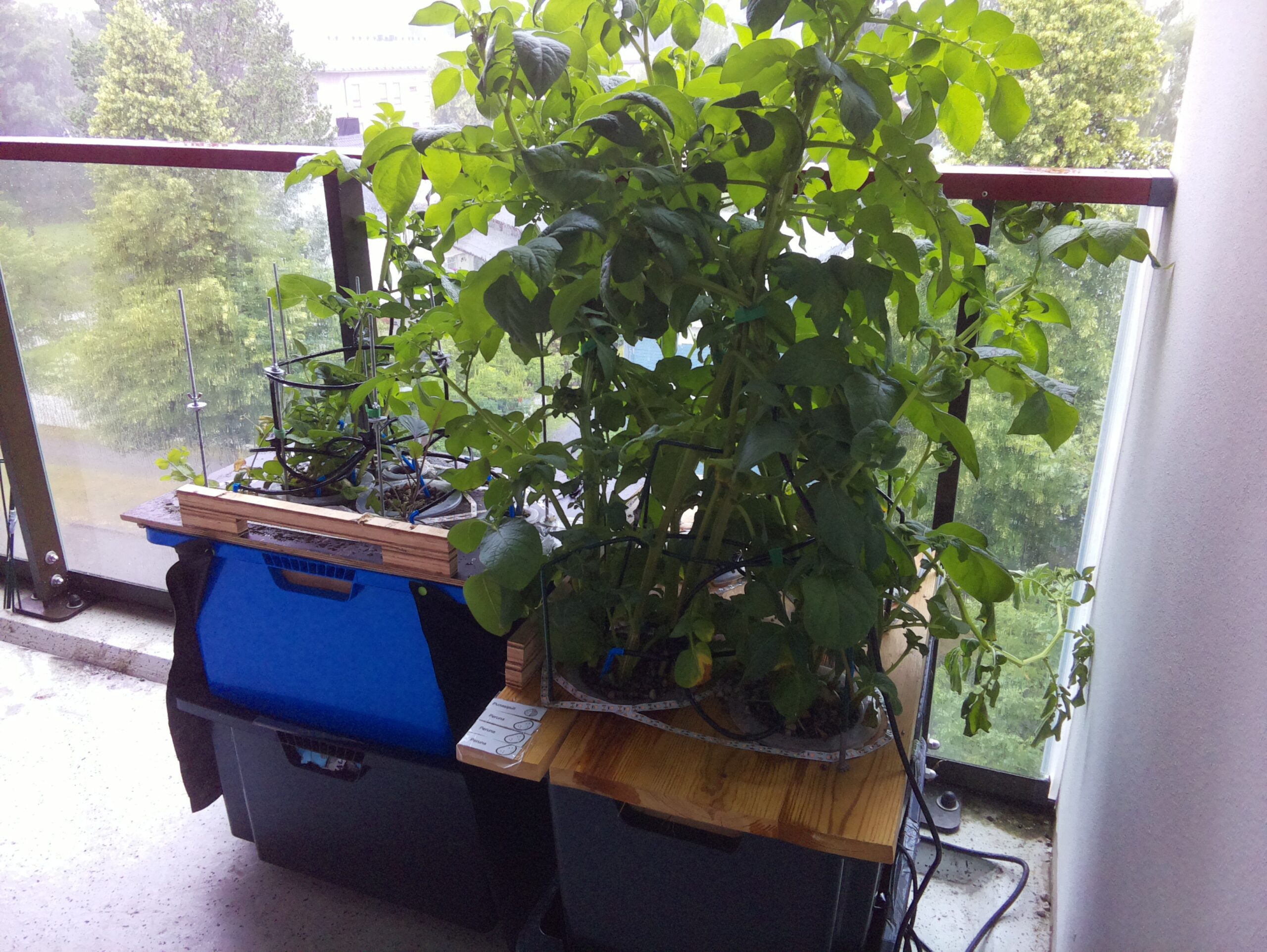 ilta KATU 2026-07-18: 18:05:01