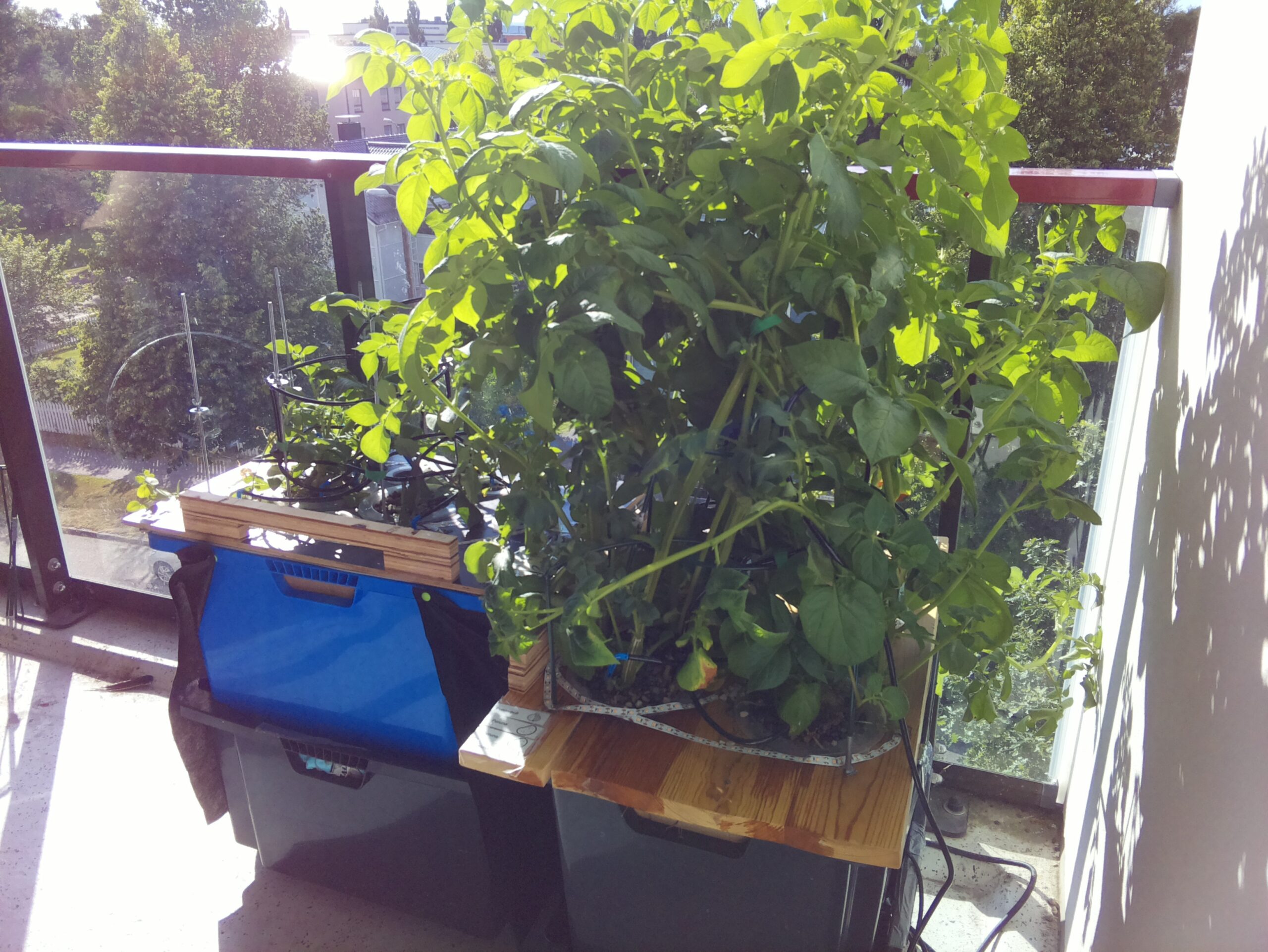 ilta KATU 2026-07-22: 18:05:02