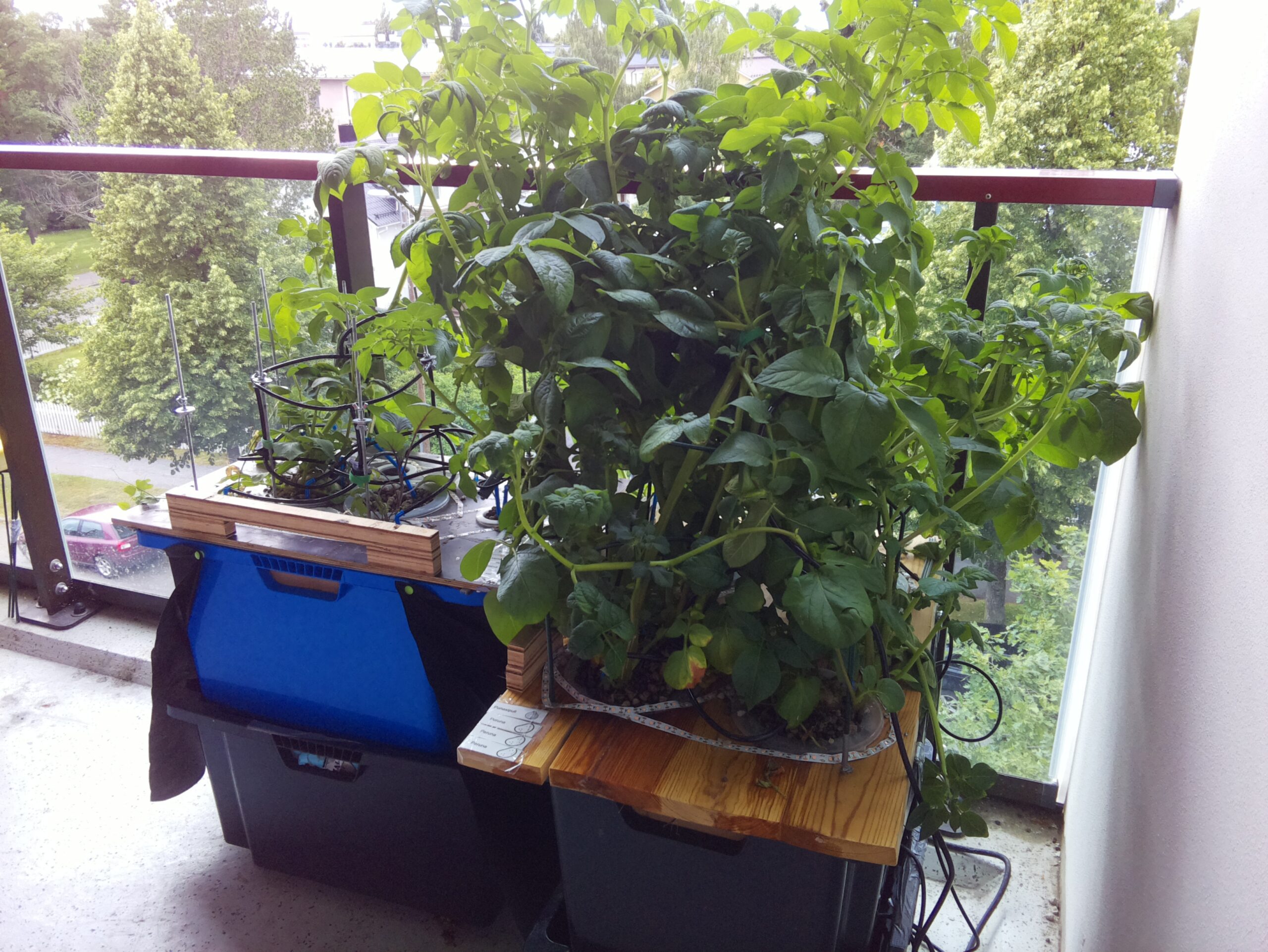 ilta KATU 2026-07-24: 18:05:02