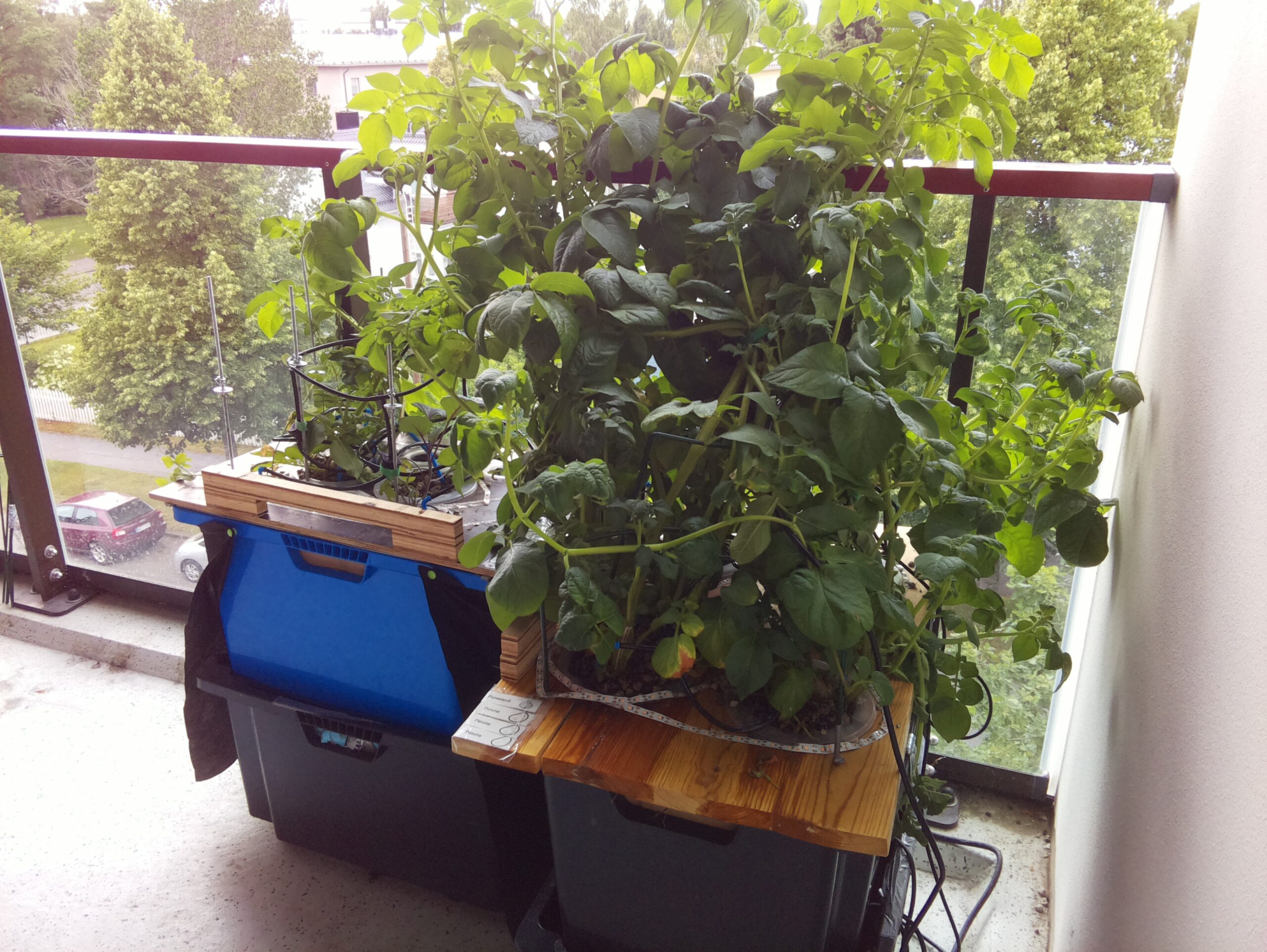 ilta KATU 2026-07-25: 18:05:02