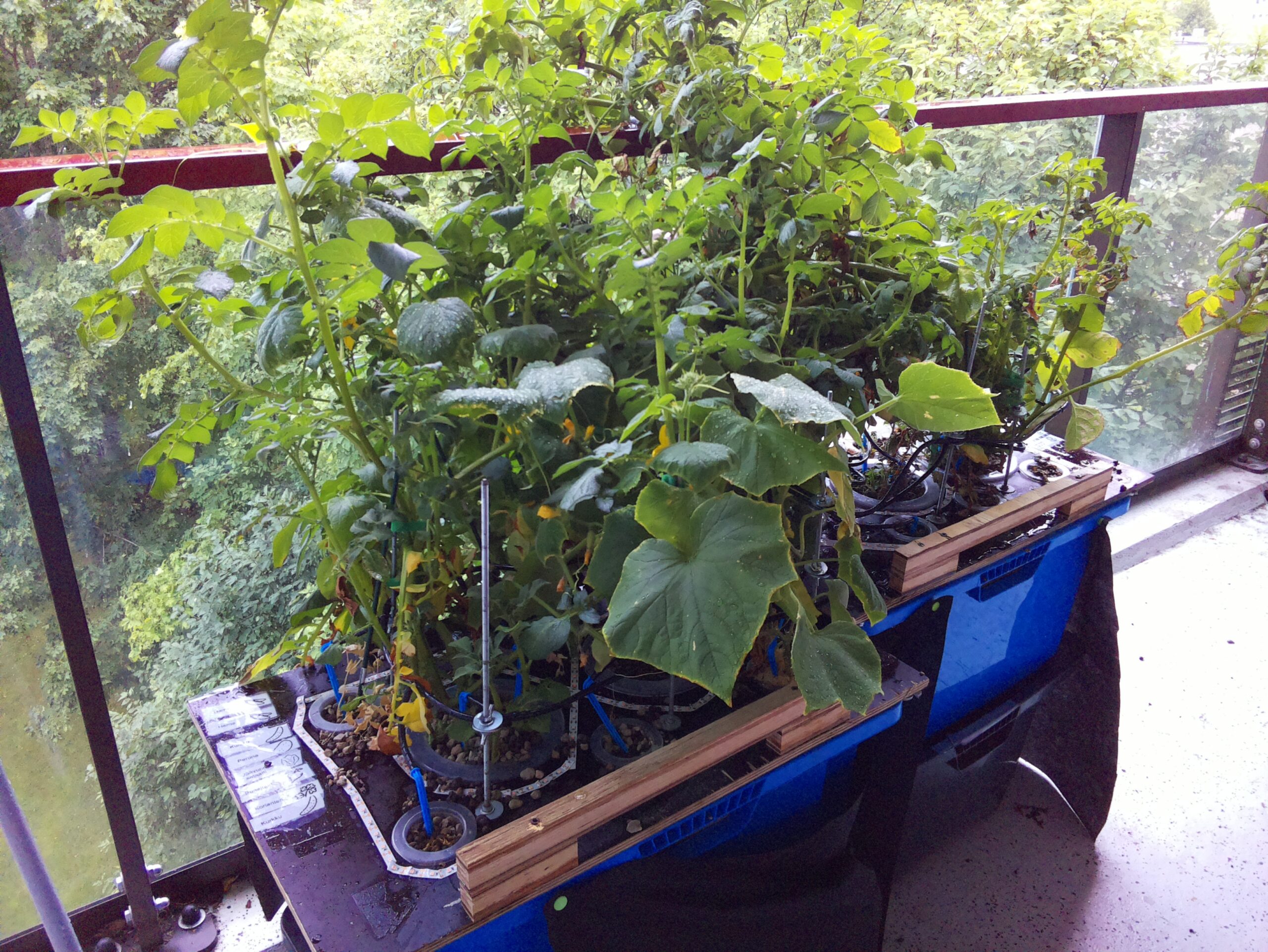 aamu SISÄPIHA 2026-07-26: 06:05:01