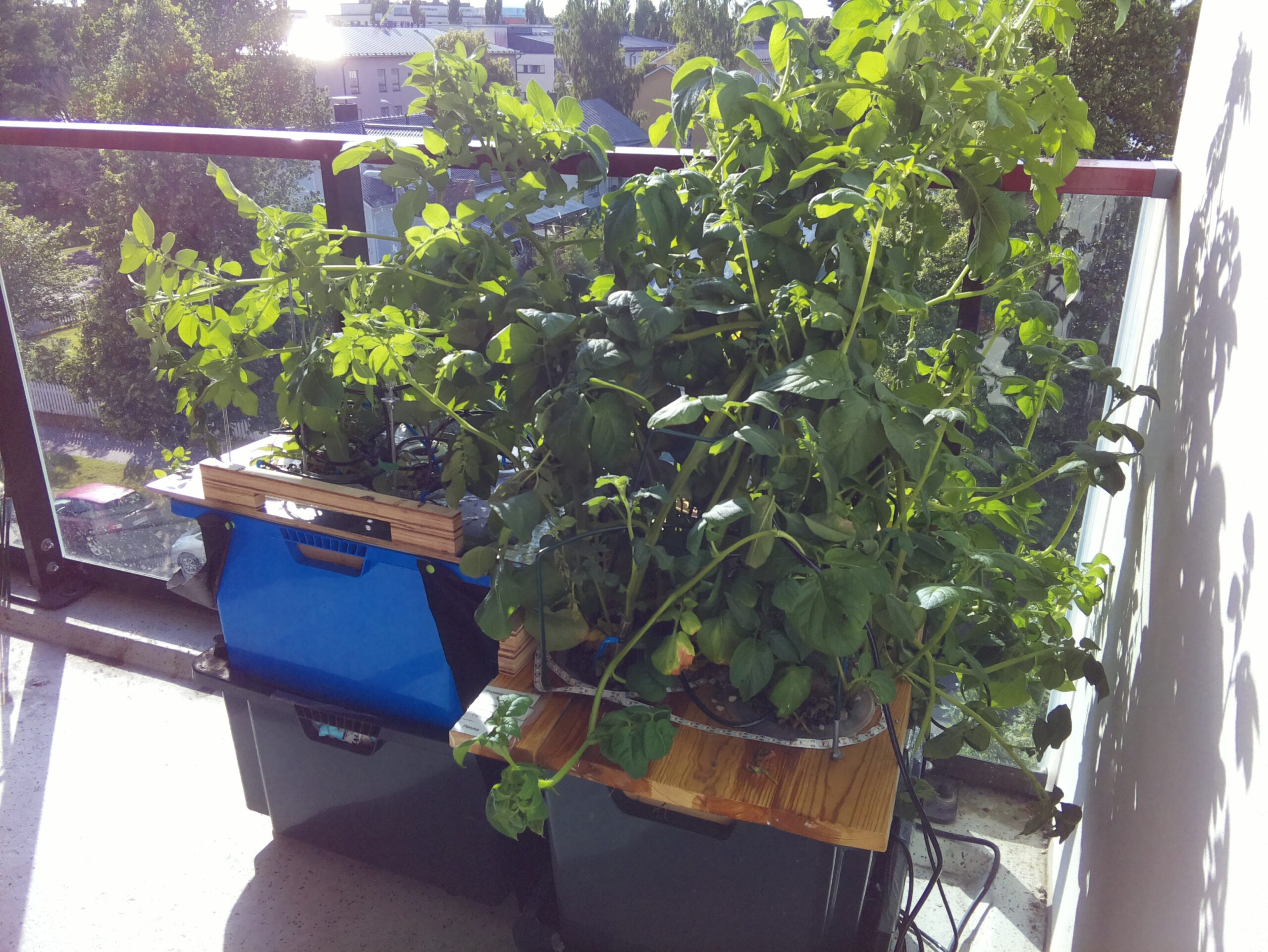 ilta KATU 2026-07-26: 18:05:02