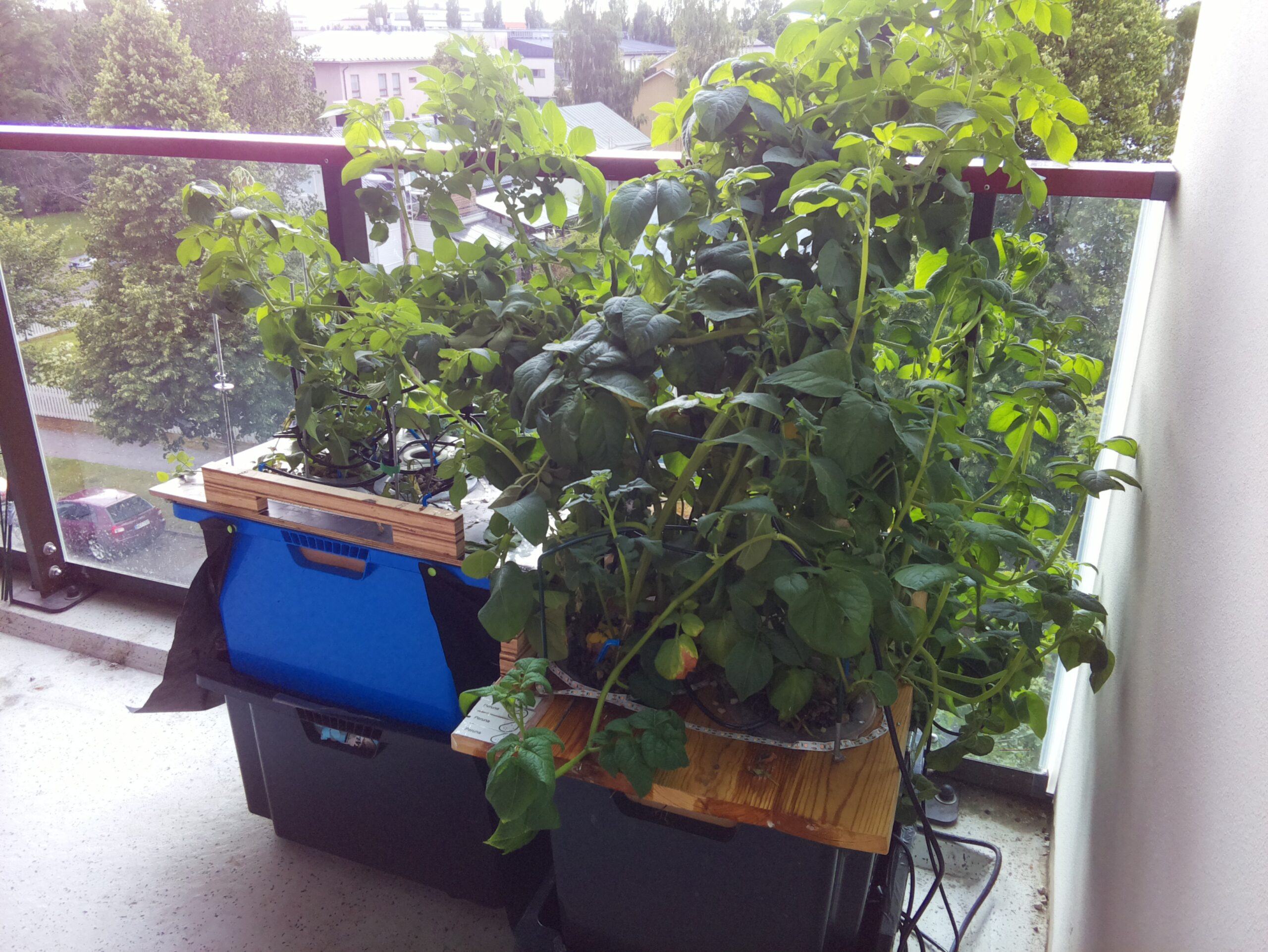 ilta KATU 2026-07-27: 18:05:02