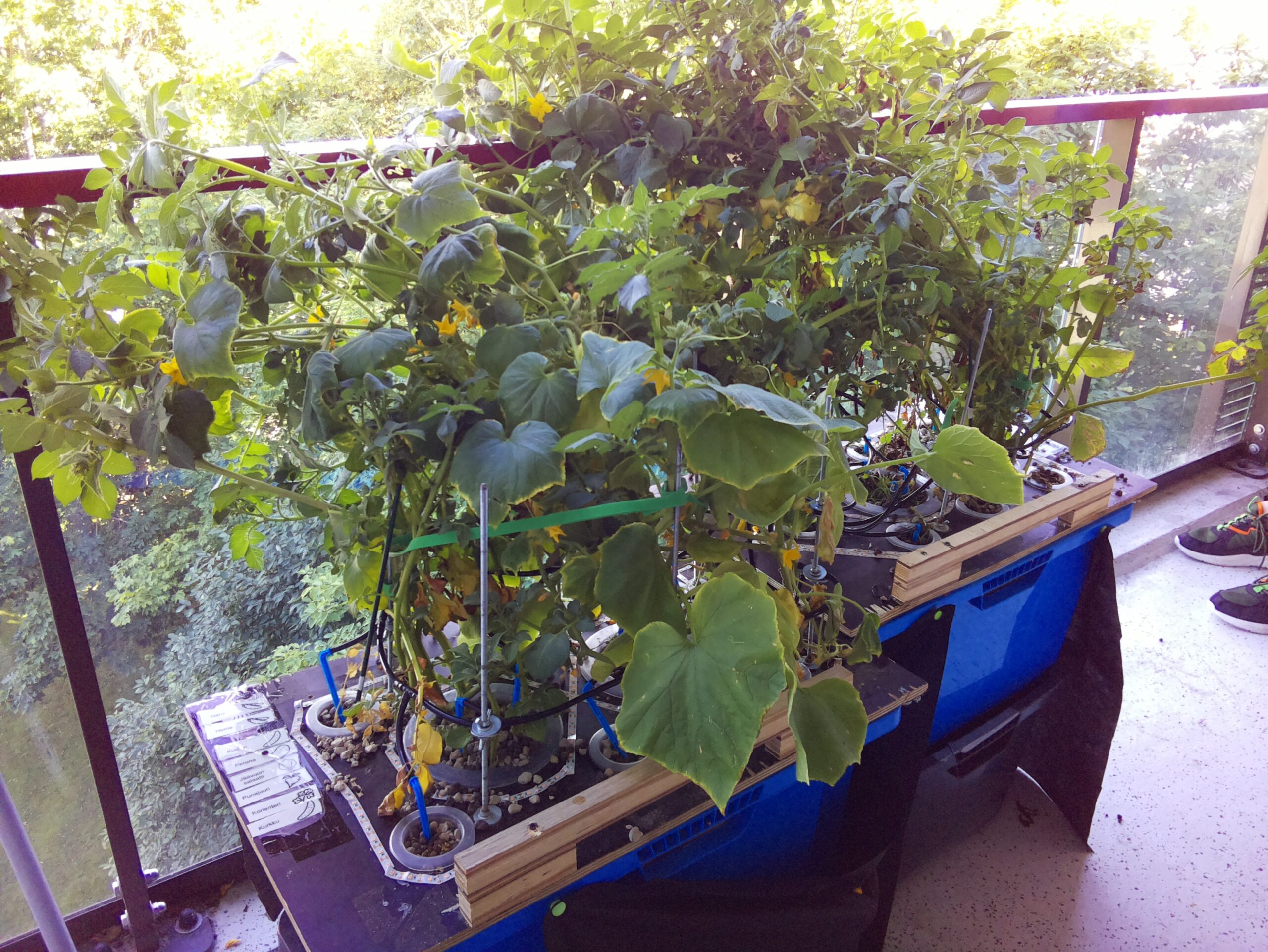 ilta SISÄPIHA 2026-07-28: 18:05:02