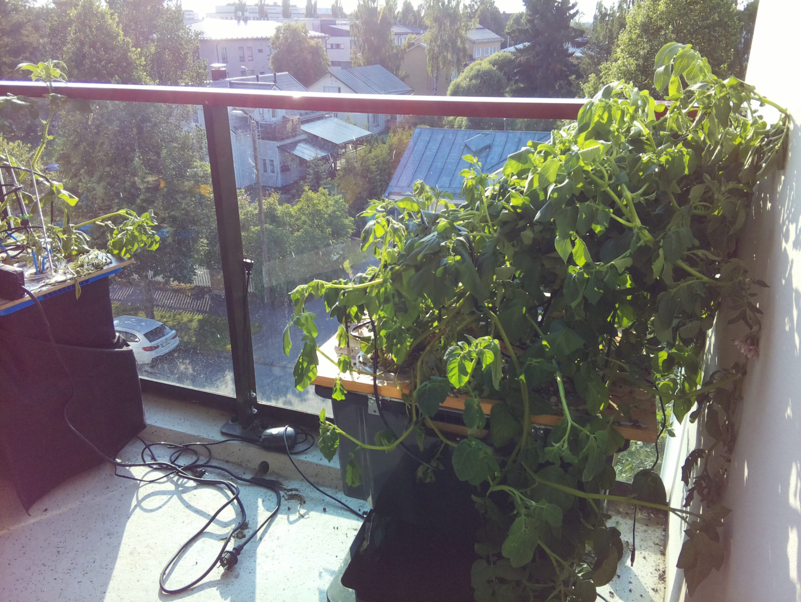 ilta KATU 2026-07-30: 19:01:35