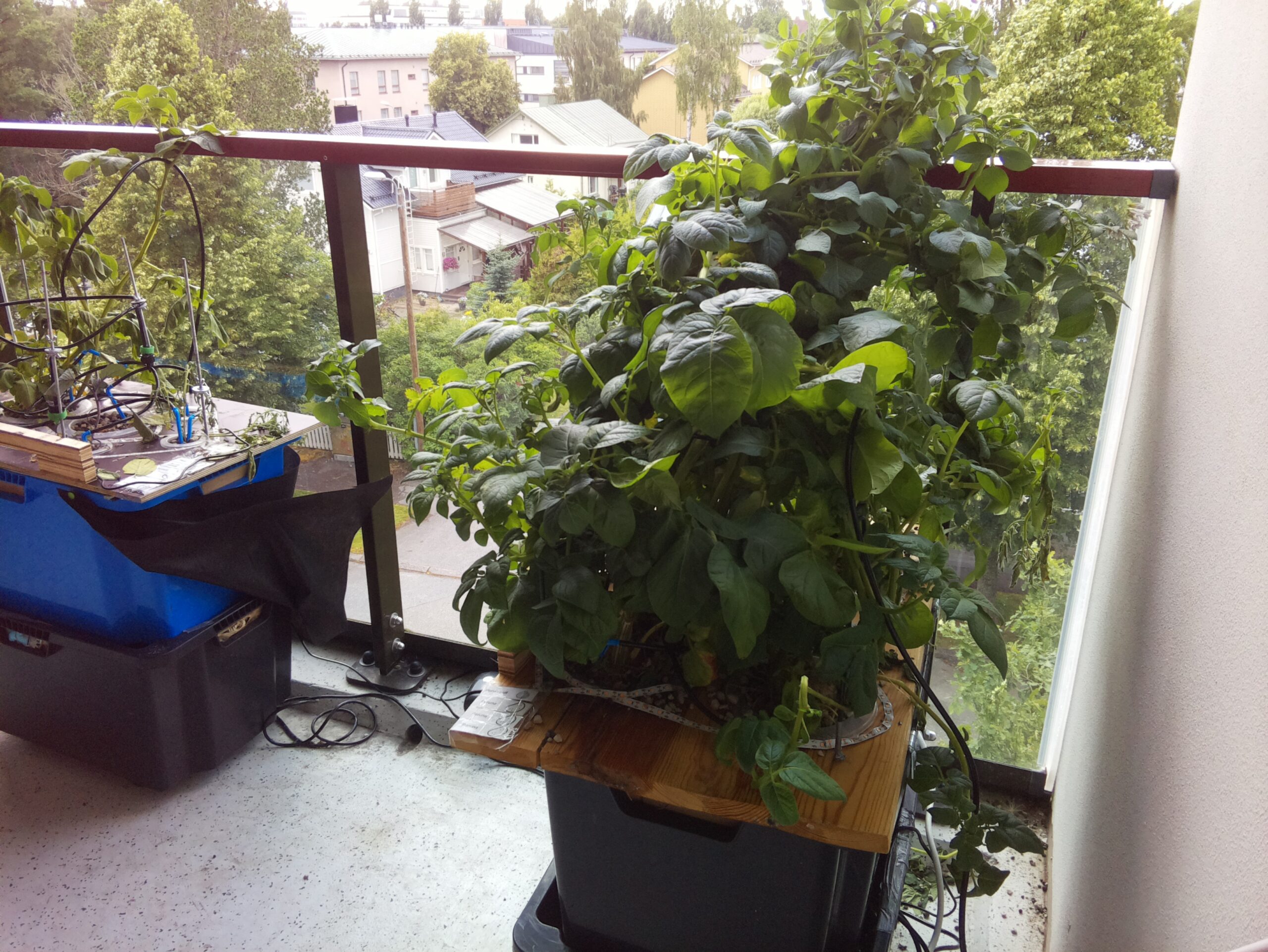 ilta KATU 2026-07-31: 18:05:01