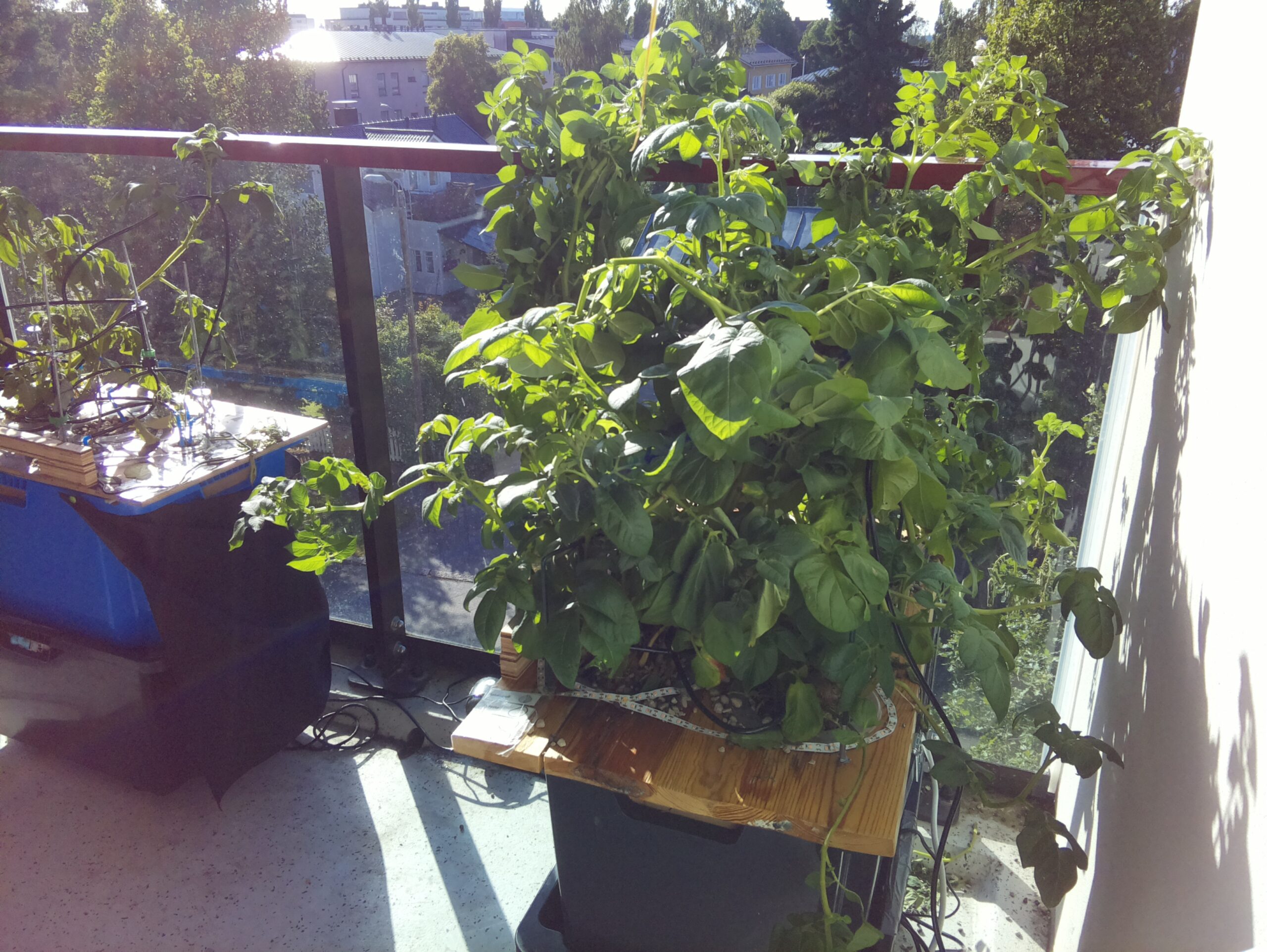 ilta KATU 2026-08-01: 18:05:02