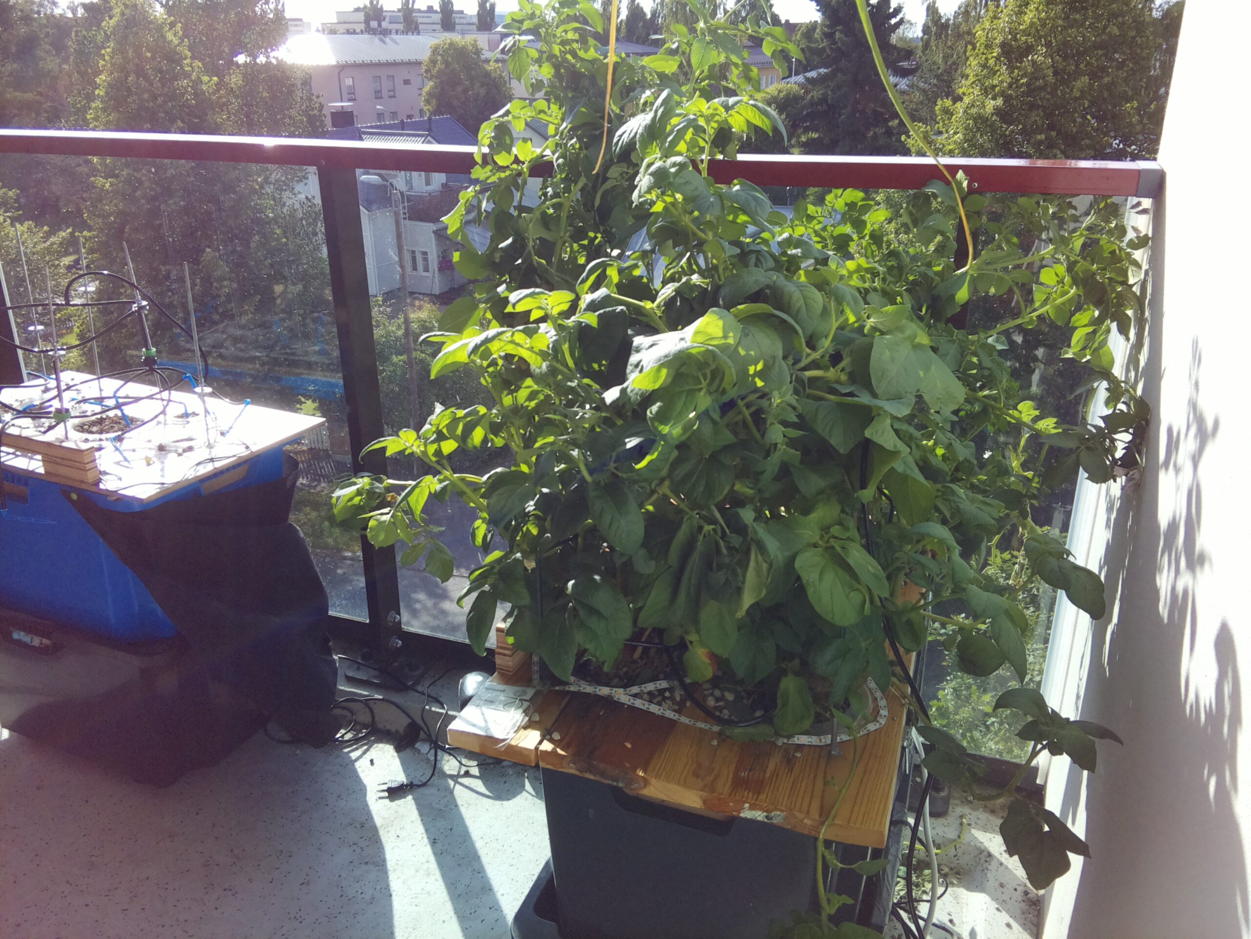 ilta KATU 2026-08-02: 18:05:02