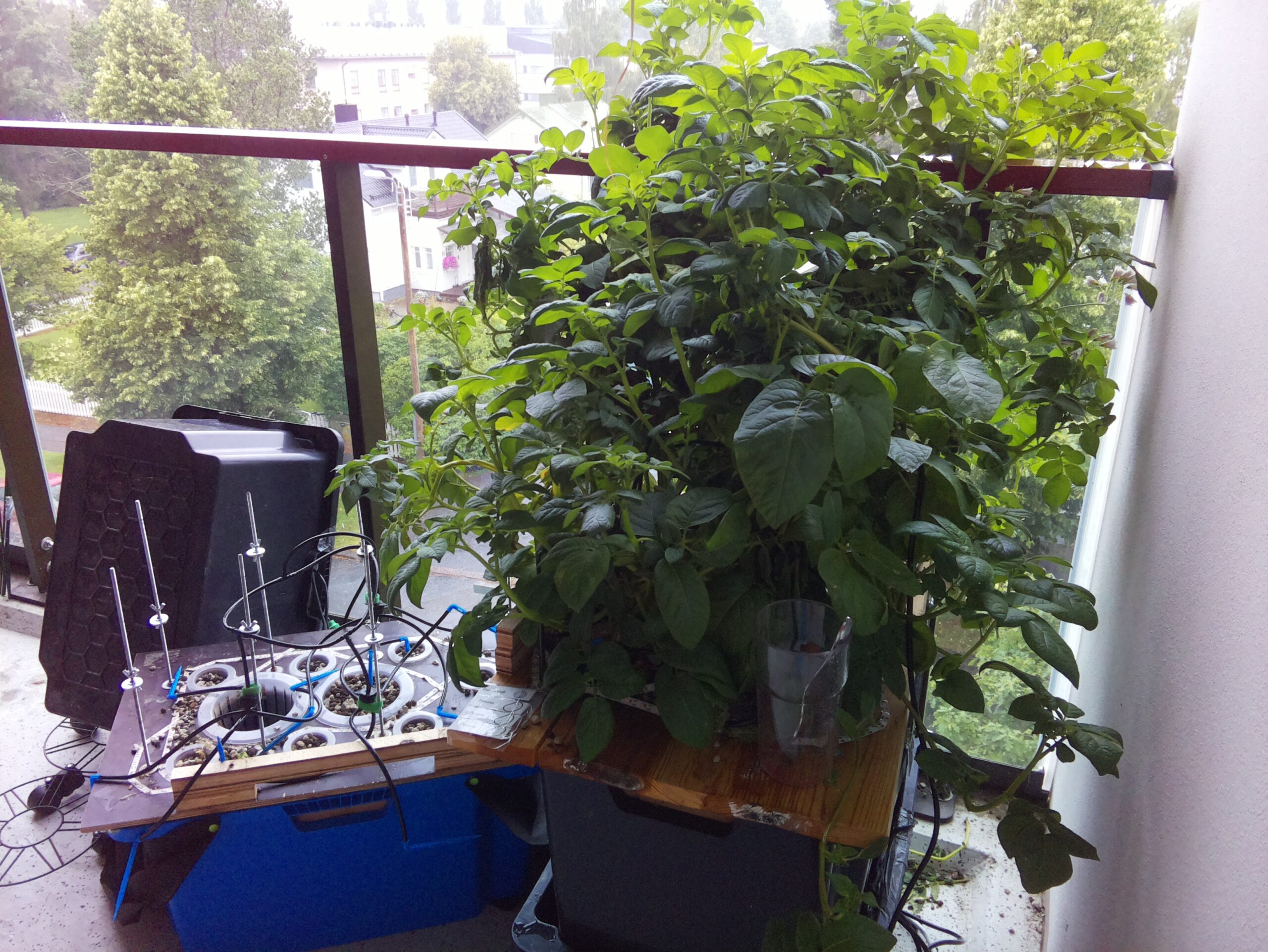 ilta KATU 2026-08-05: 18:05:02