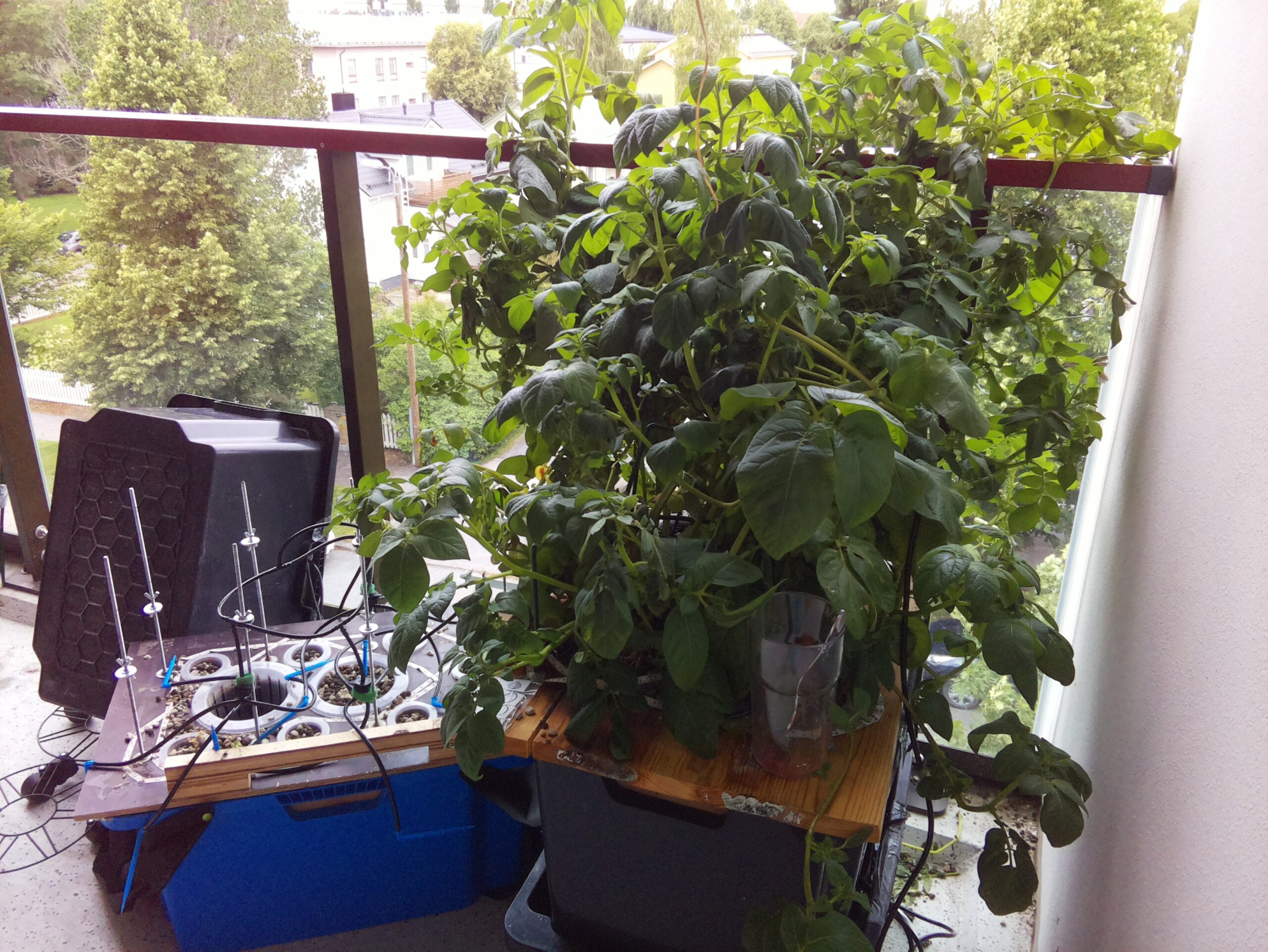 ilta KATU 2026-08-06: 18:05:02