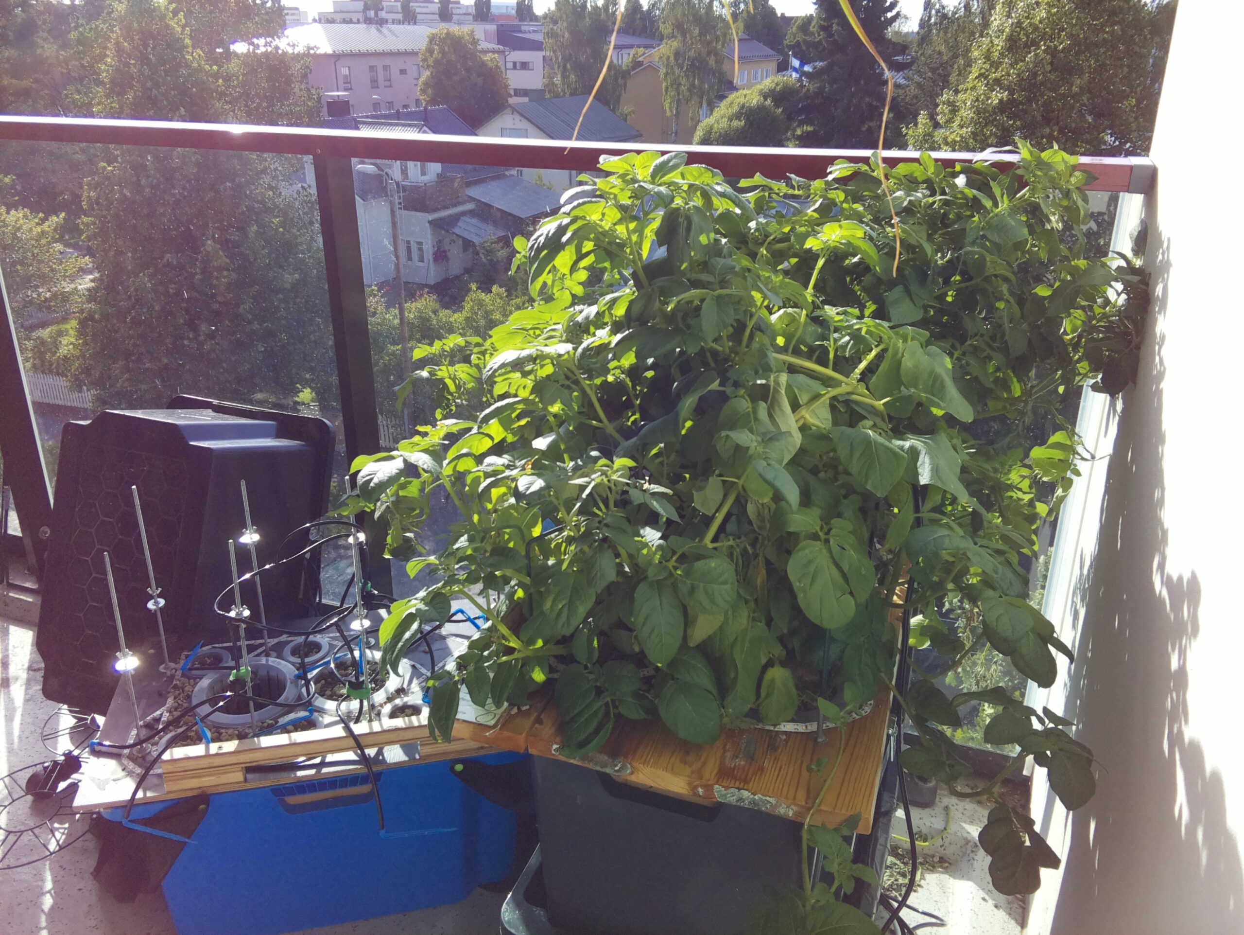 ilta KATU 2026-08-09: 18:05:02