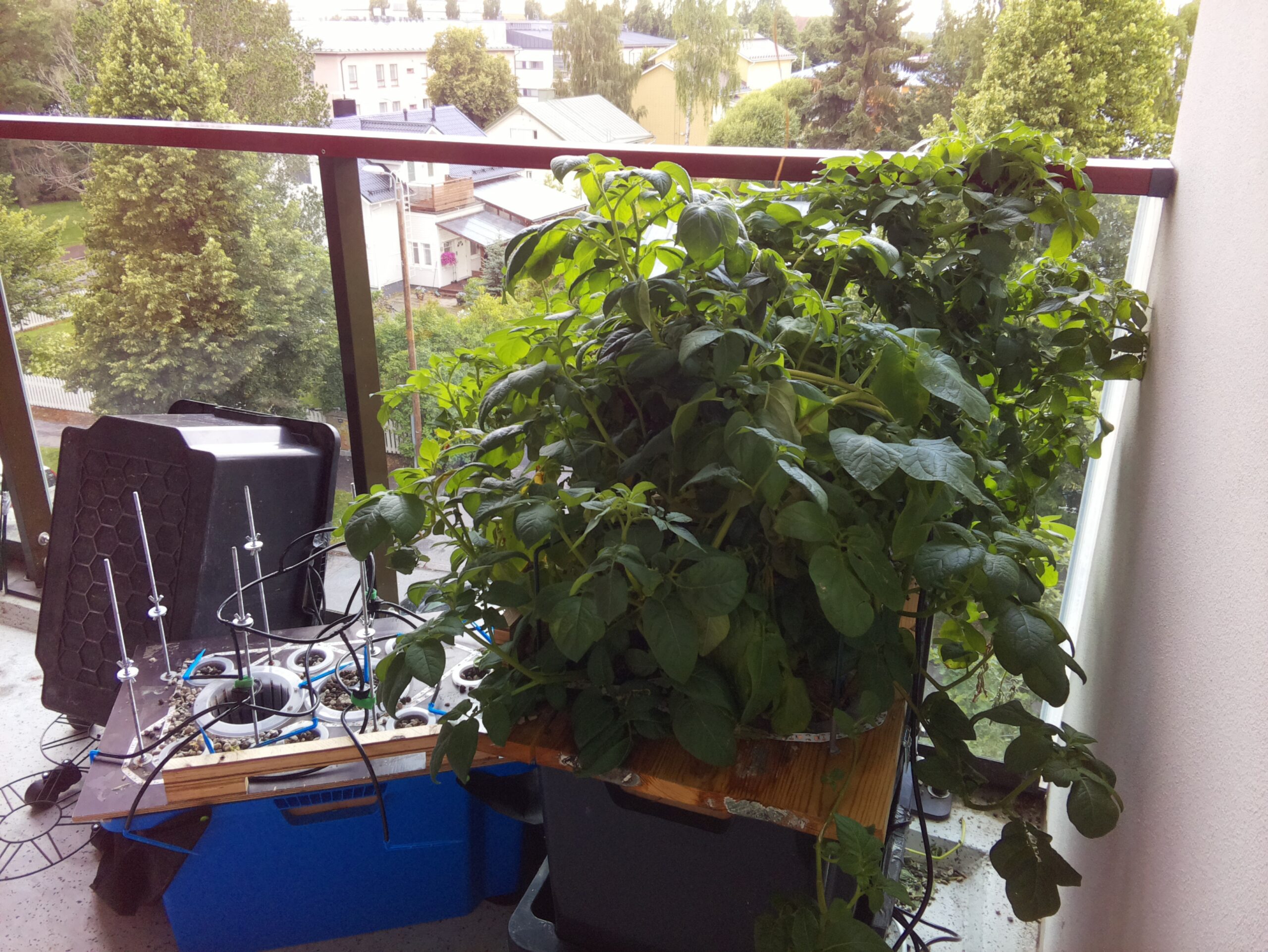 ilta KATU 2026-08-10: 18:05:02